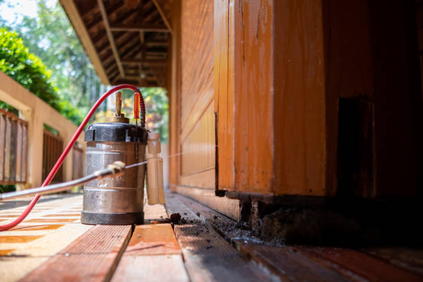 Best Best Pest Control Companies  in Stedman, NC